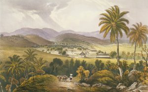 Aposentadoria Estate, St. James, placa 13 de &39;West Indian Scenery: Ilustrações da Jamaica&39;, gravada pelo artista, pub. 1838-40
